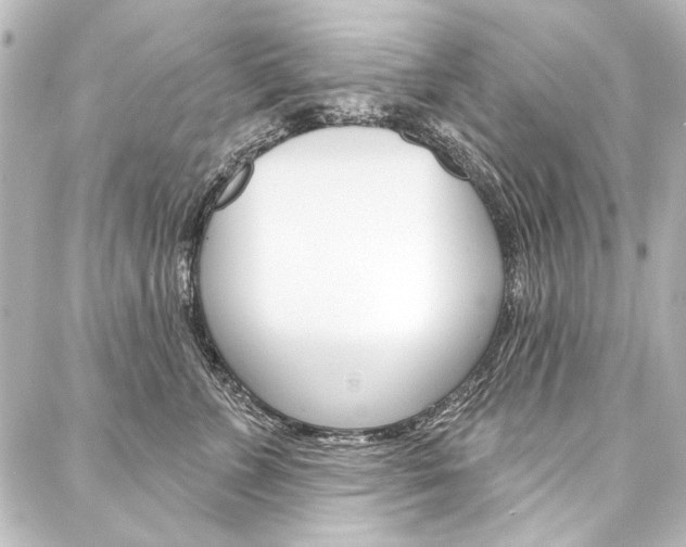 X0000088160715200705150926