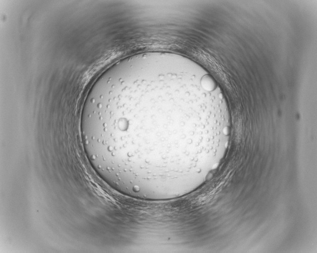 X0000088160721200705150925