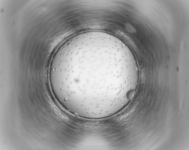 X0000088160725200705150925