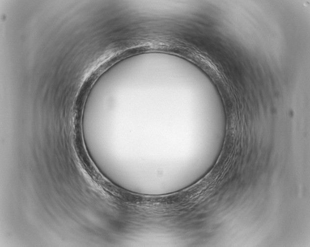 X0000088160730200705150925
