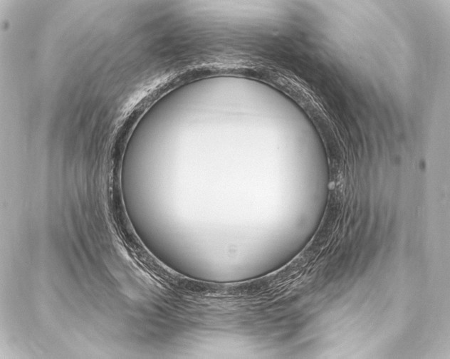 X0000088160732200705150925