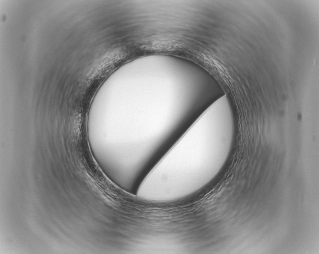 X0000088160735200705150925