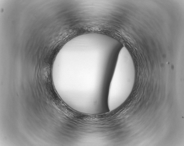 X0000088160747200705150925