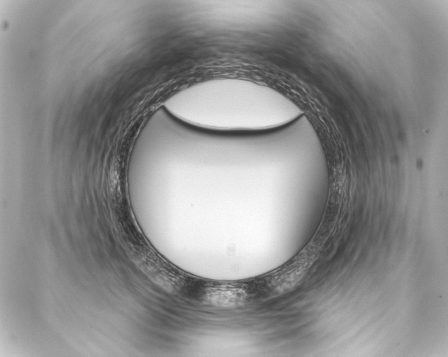 X0000088160754200705150925