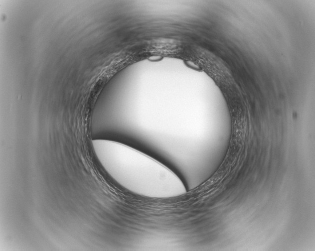 X0000088160755200705150925