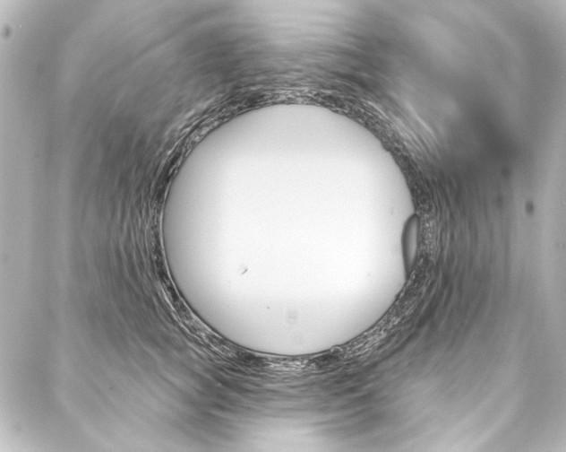X0000088160757200705150925