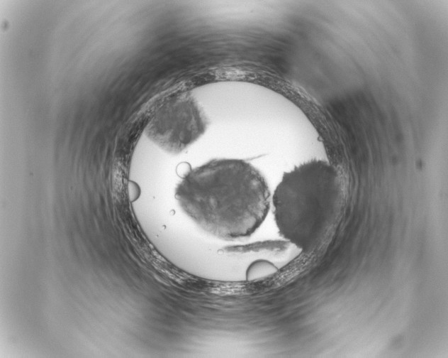 X0000088160761200705150925