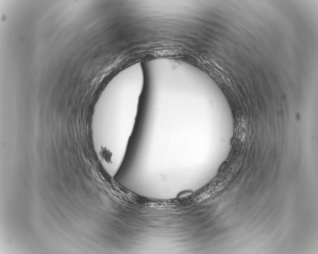 X0000088160763200705150925