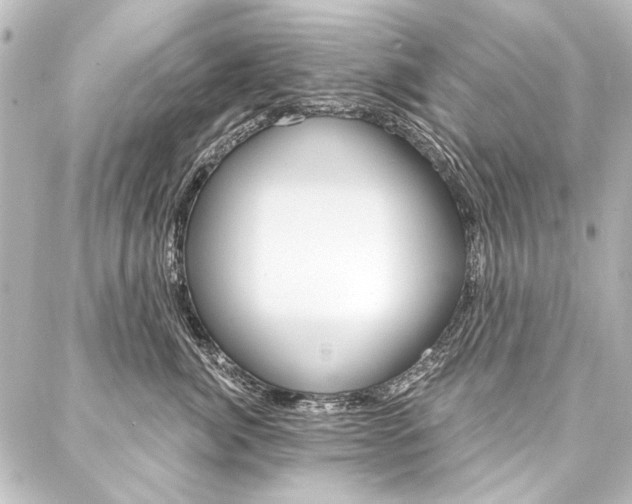 X0000088160764200705150925