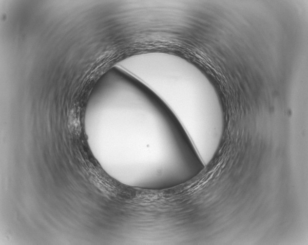 X0000088160771200705150925