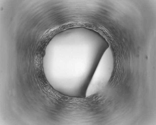 X0000088160773200705150925
