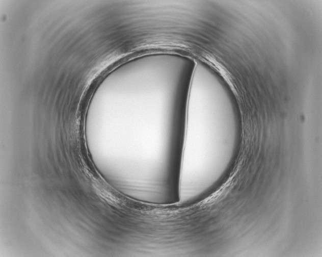 X0000088160779200705150924