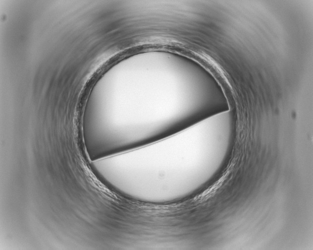 X0000088160783200705150924