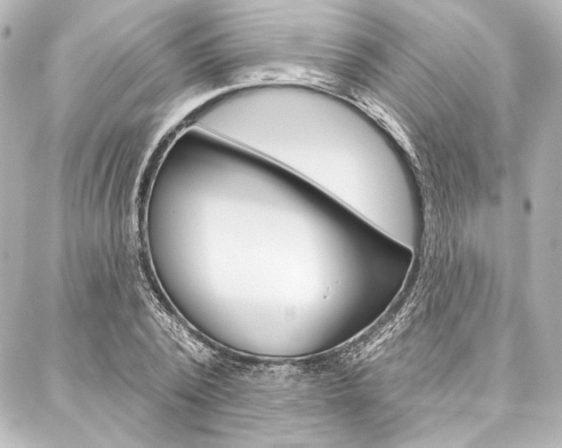 X0000088160784200705150924