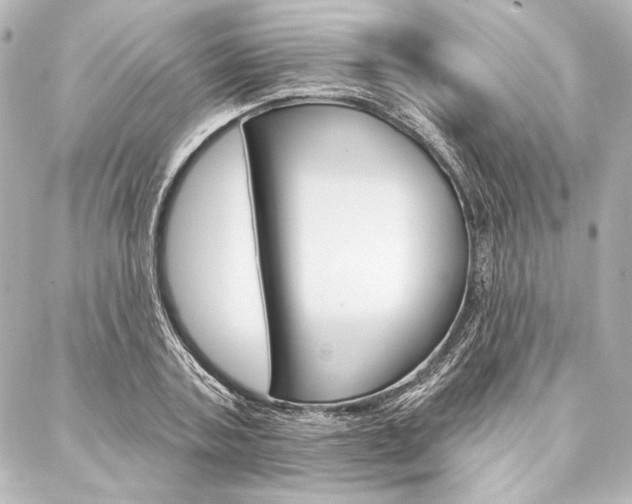 X0000088160787200705150924