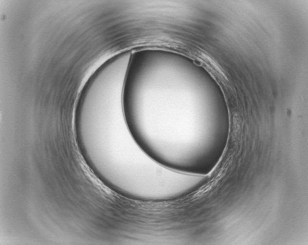 X0000088160788200705150924