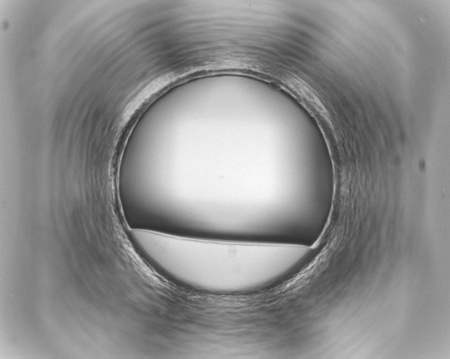 X0000088160789200705150924