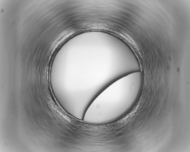 X0000088160790200705150924