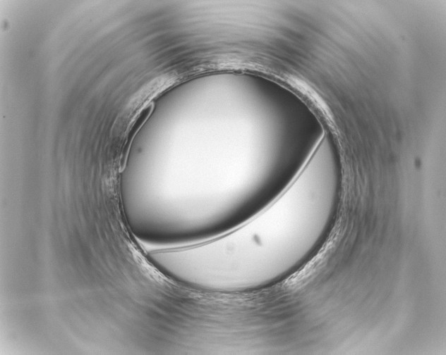 X0000088160801200705150924
