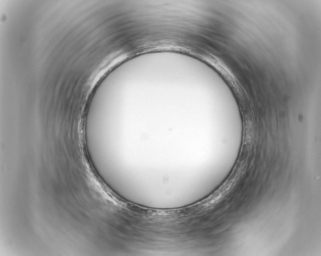 X0000088160806200705150924