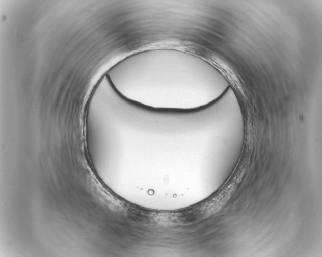 X0000088160808200705150924