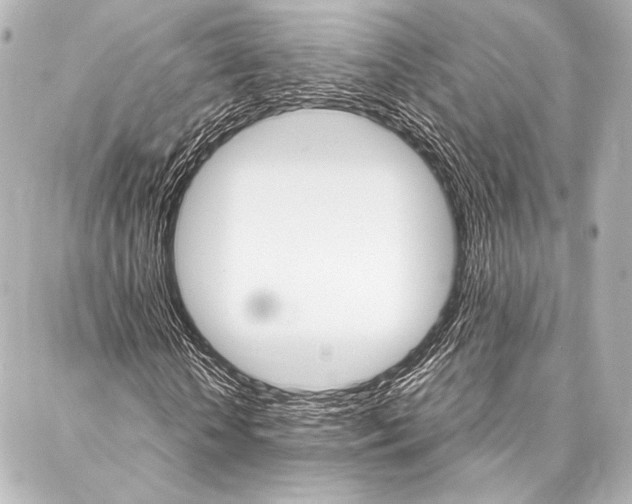 X0000088160818200705150923