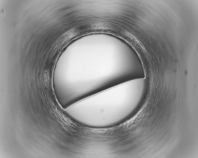 X0000088160825200705150923