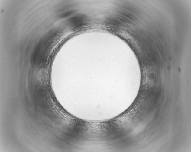 X0000088160828200705150923