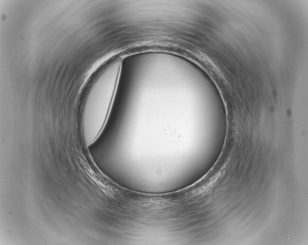 X0000088160830200705150923