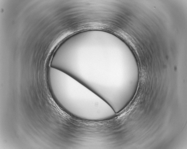 X0000088160835200705150923