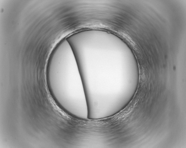X0000088160840200705150923