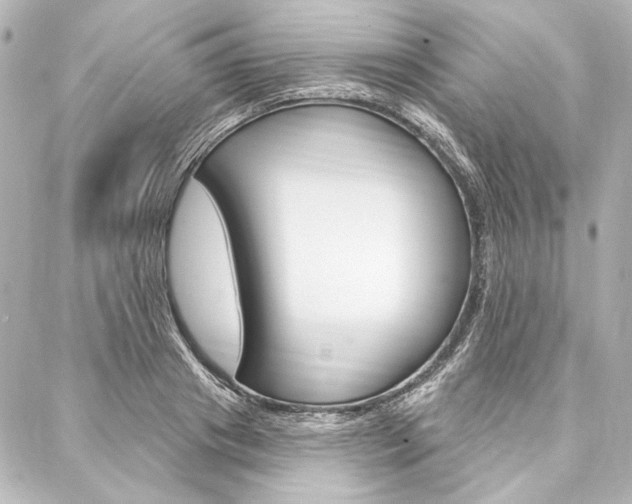 X0000088160841200705150924