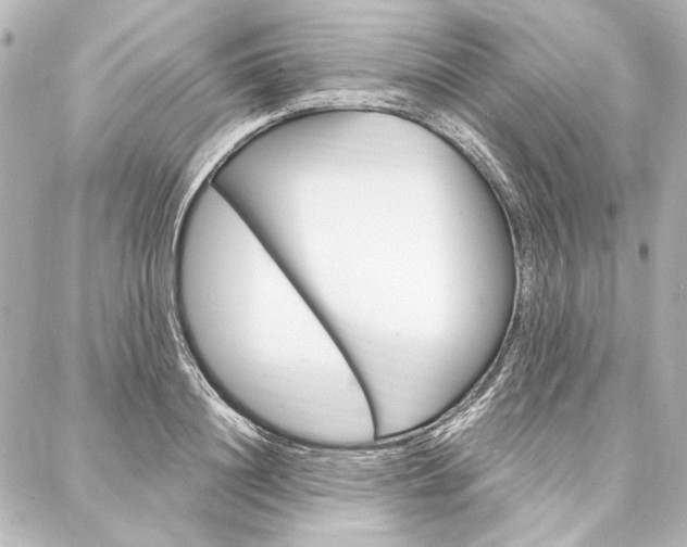 X0000088160844200705150924