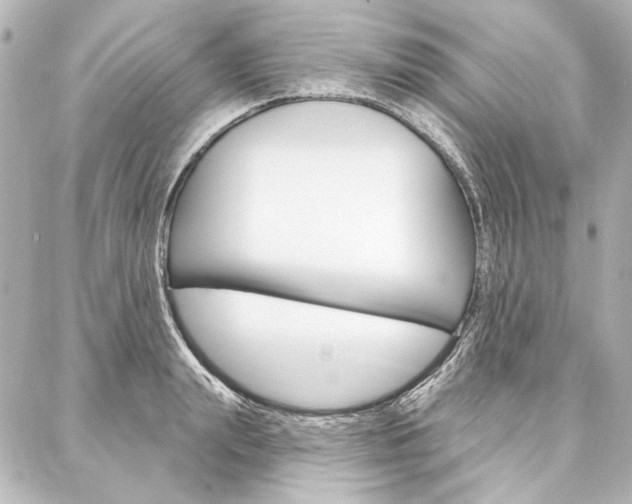 X0000088160847200705150924