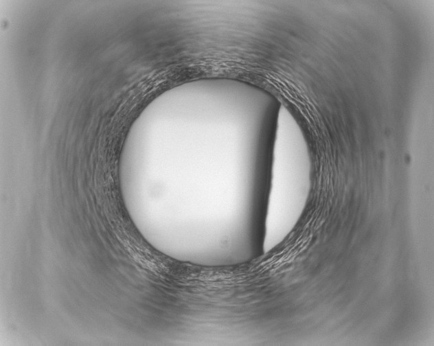 X0000088160865200705150923
