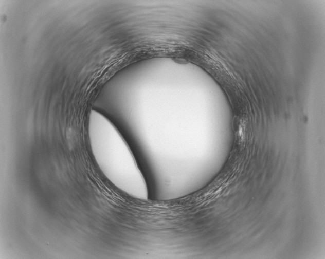 X0000088160867200705150923