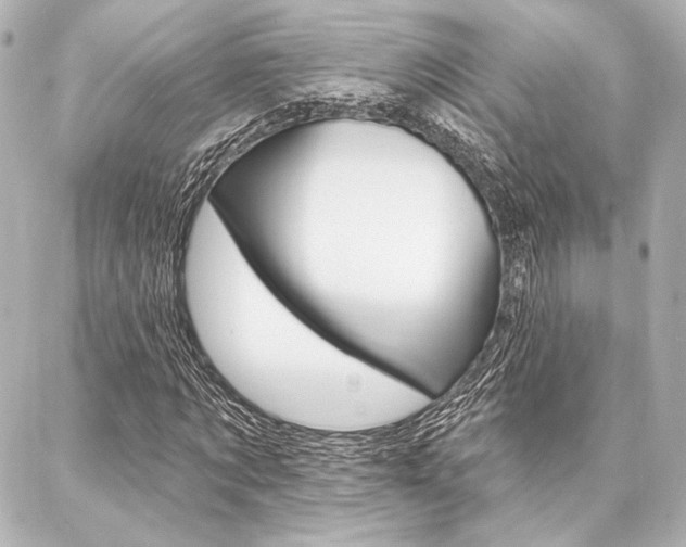 X0000088160869200705150923