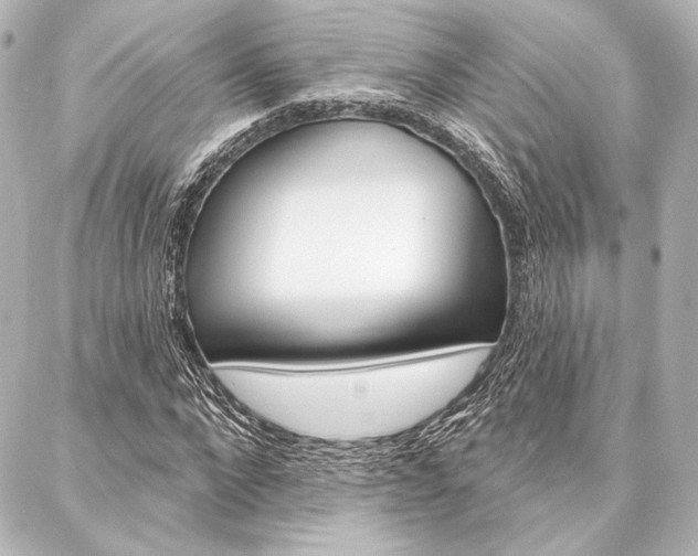 X0000088160872200705150923