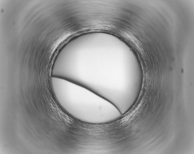 X0000088160875200705150923