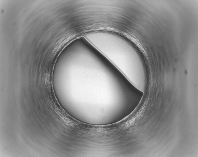 X0000088160881200705150923