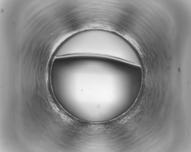 X0000088160888200705150923