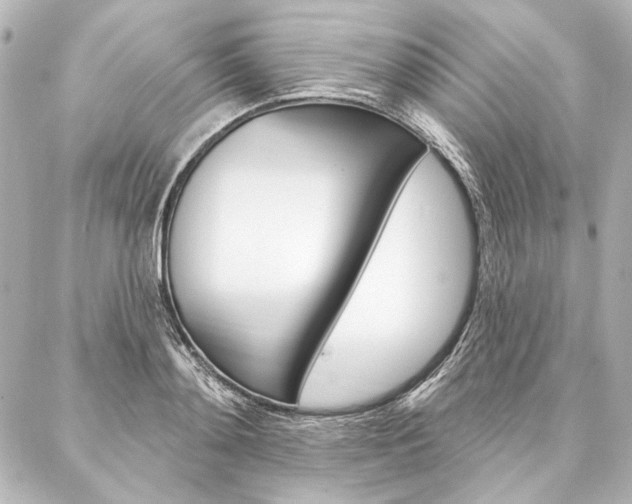 X0000088160892200705150923