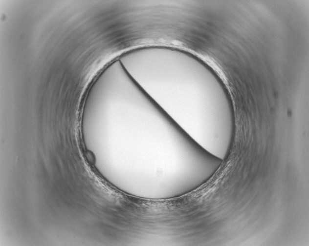 X0000088160895200705150923