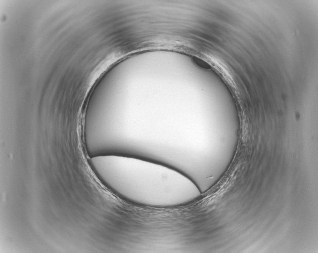 X0000088160899200705150923