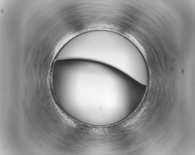 X0000088160901200705150923