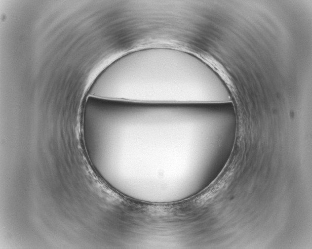 X0000088160904200705150922