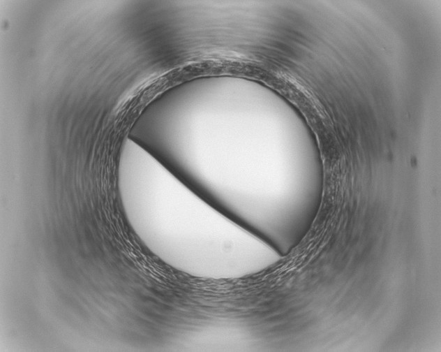 X0000088160919200705150922