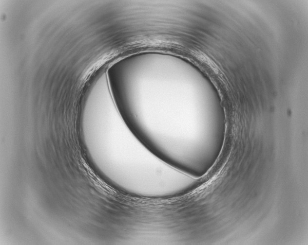 X0000088160922200705150922
