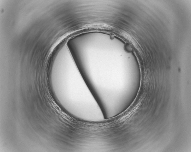 X0000088160923200705150922