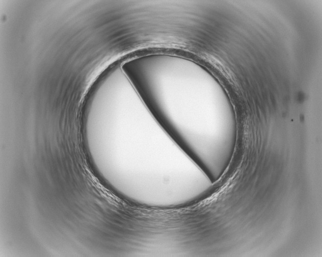 X0000088160926200705150922